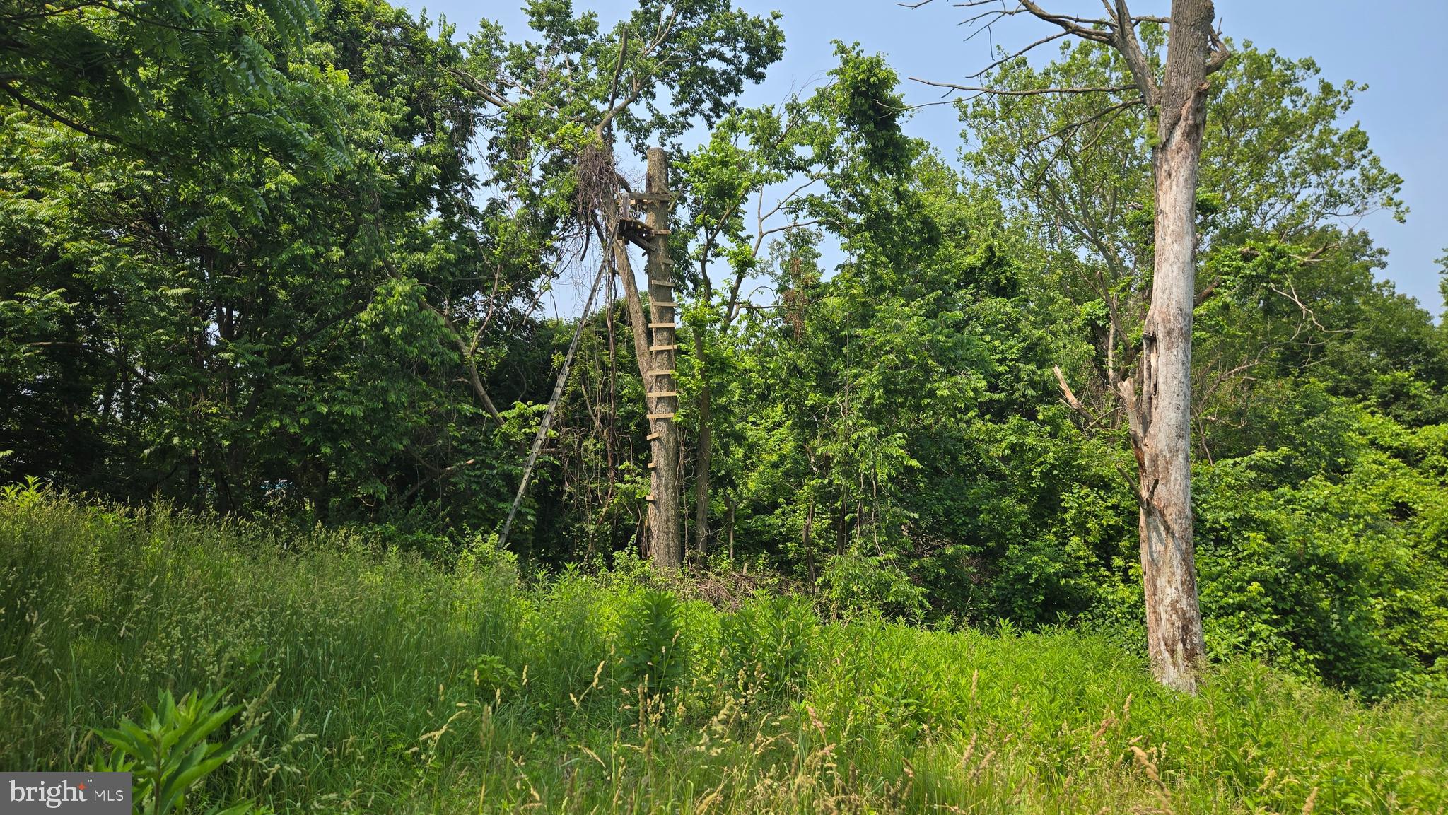 608 Jefferson Pike