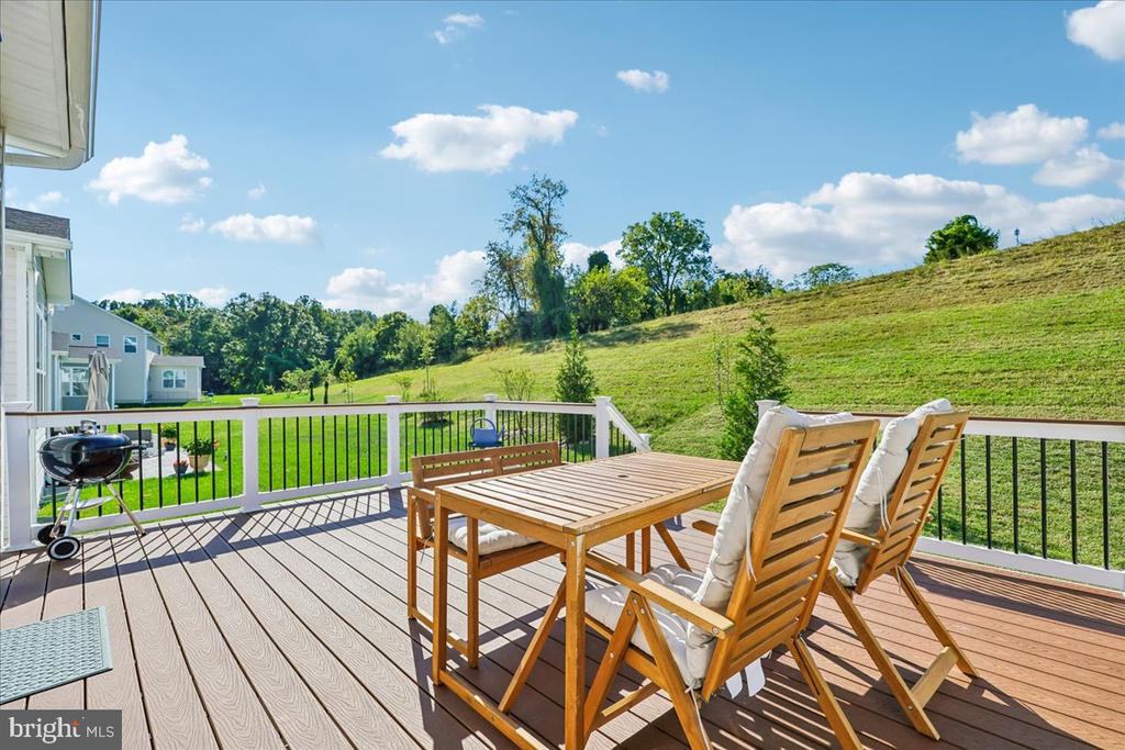 1311 BOUNDARY PEAK TERRACE