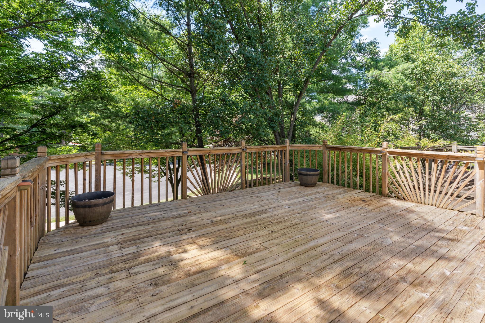 12236 Bare Bush PATH