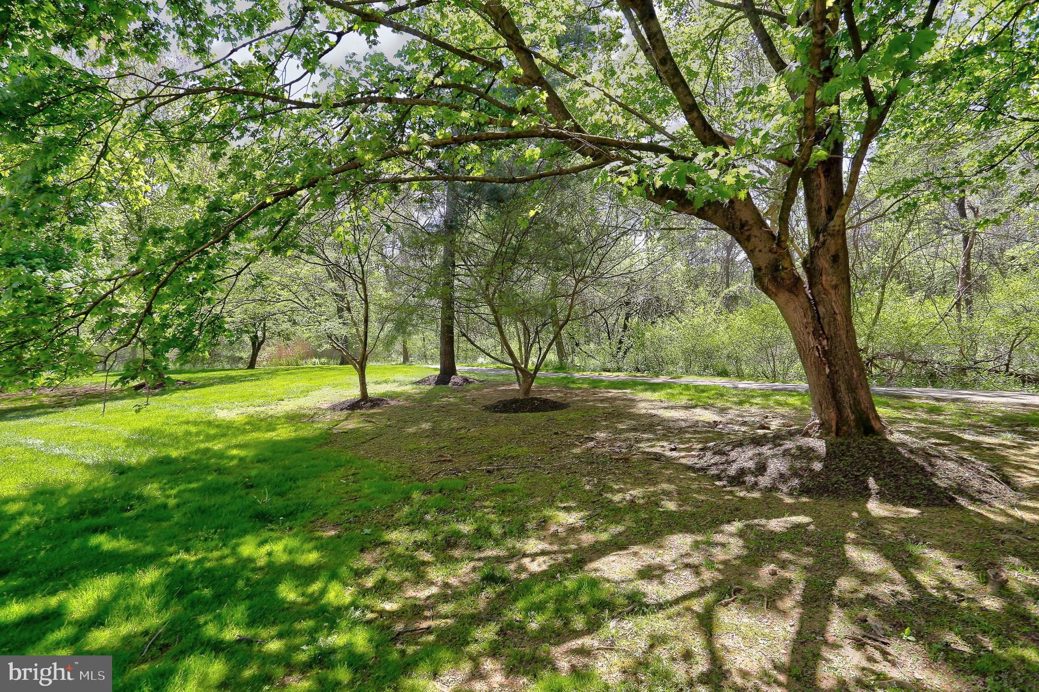 8310 Silver Trumpet Dr