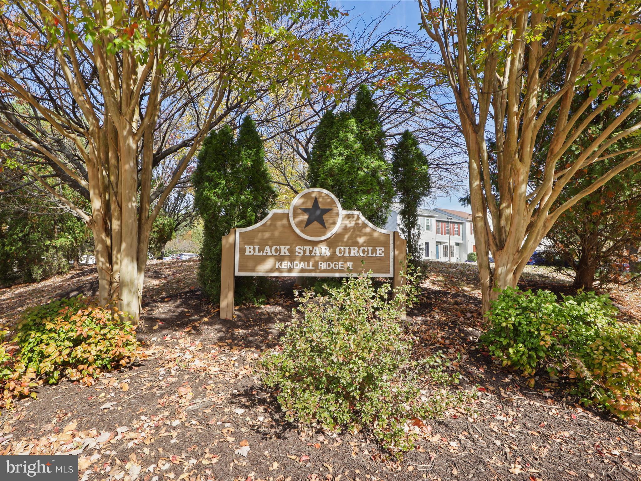 8574 Black Star Cir