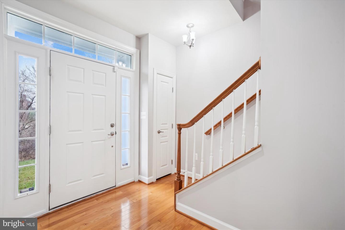 7806 Tuckahoe Ct
