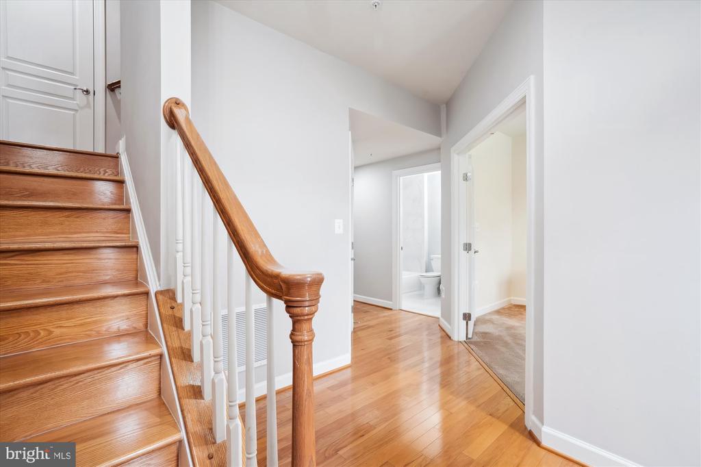 7806 Tuckahoe Ct