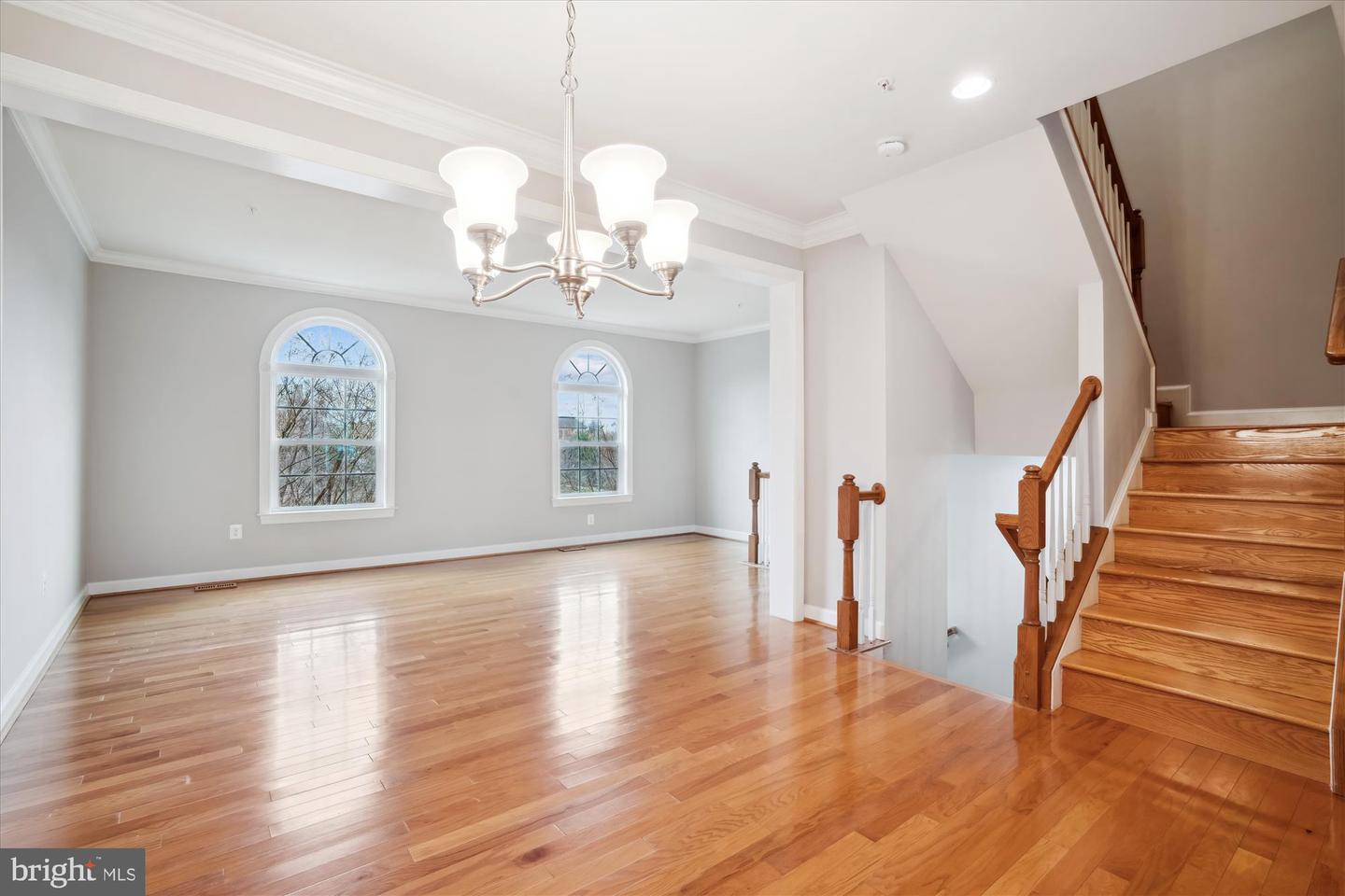 7806 Tuckahoe Ct