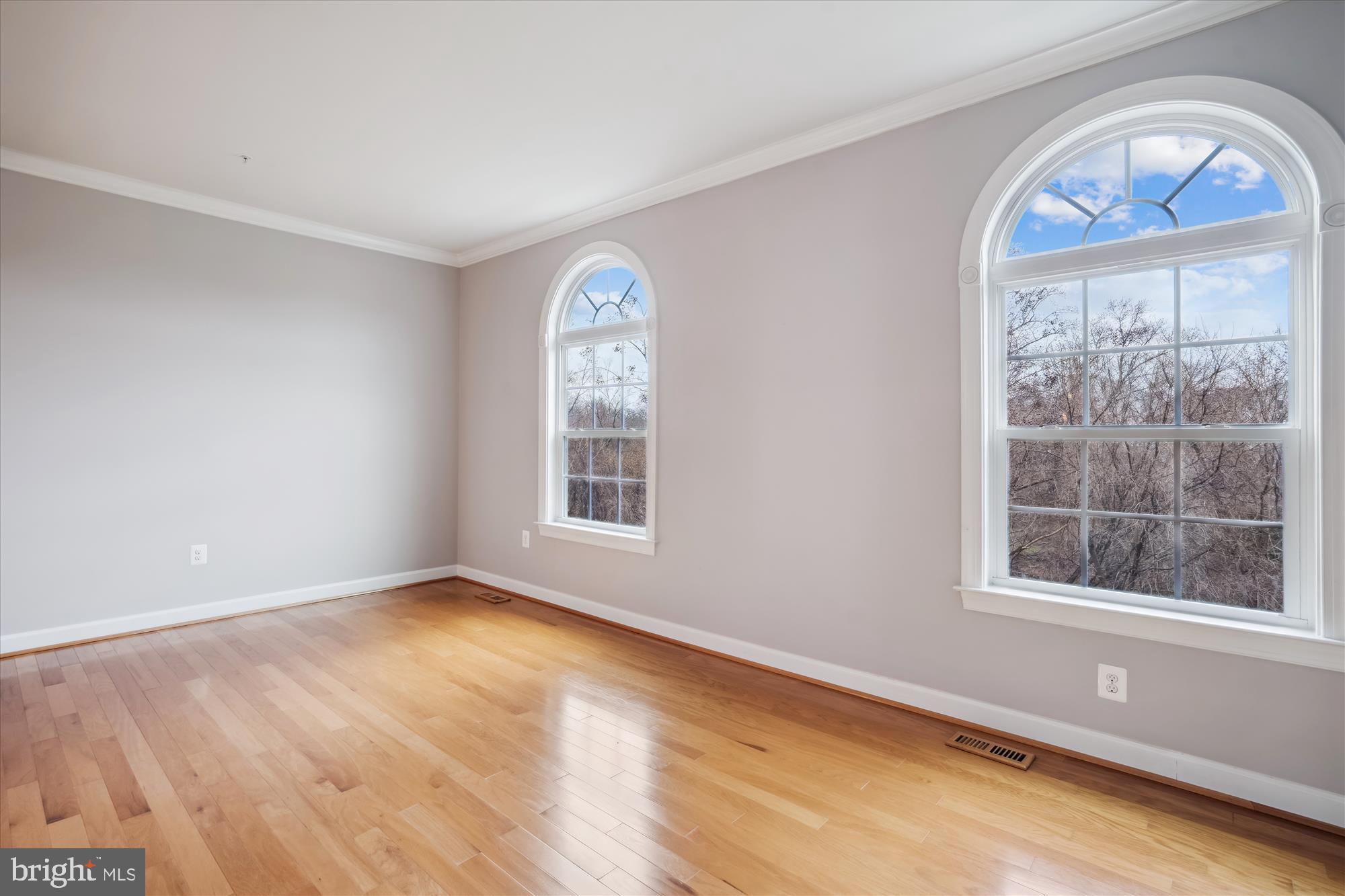 7806 Tuckahoe Ct
