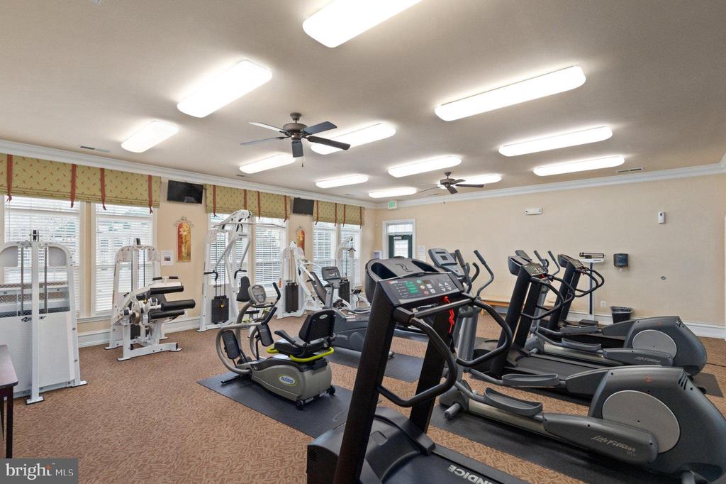 7315 BROOKVIEW ROAD Unit: 206