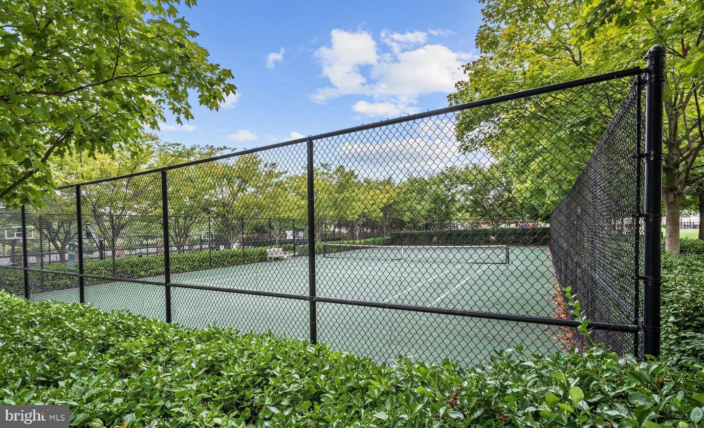 11249-2 Chase St #100