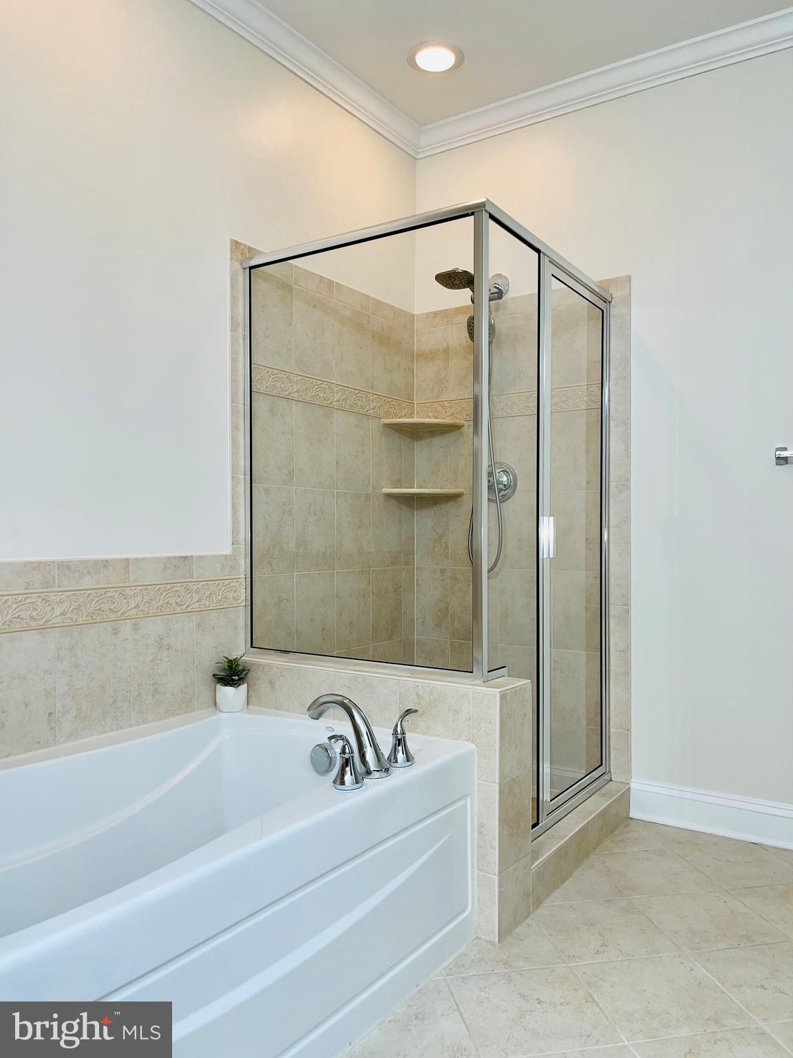 11249-2 Chase St #100