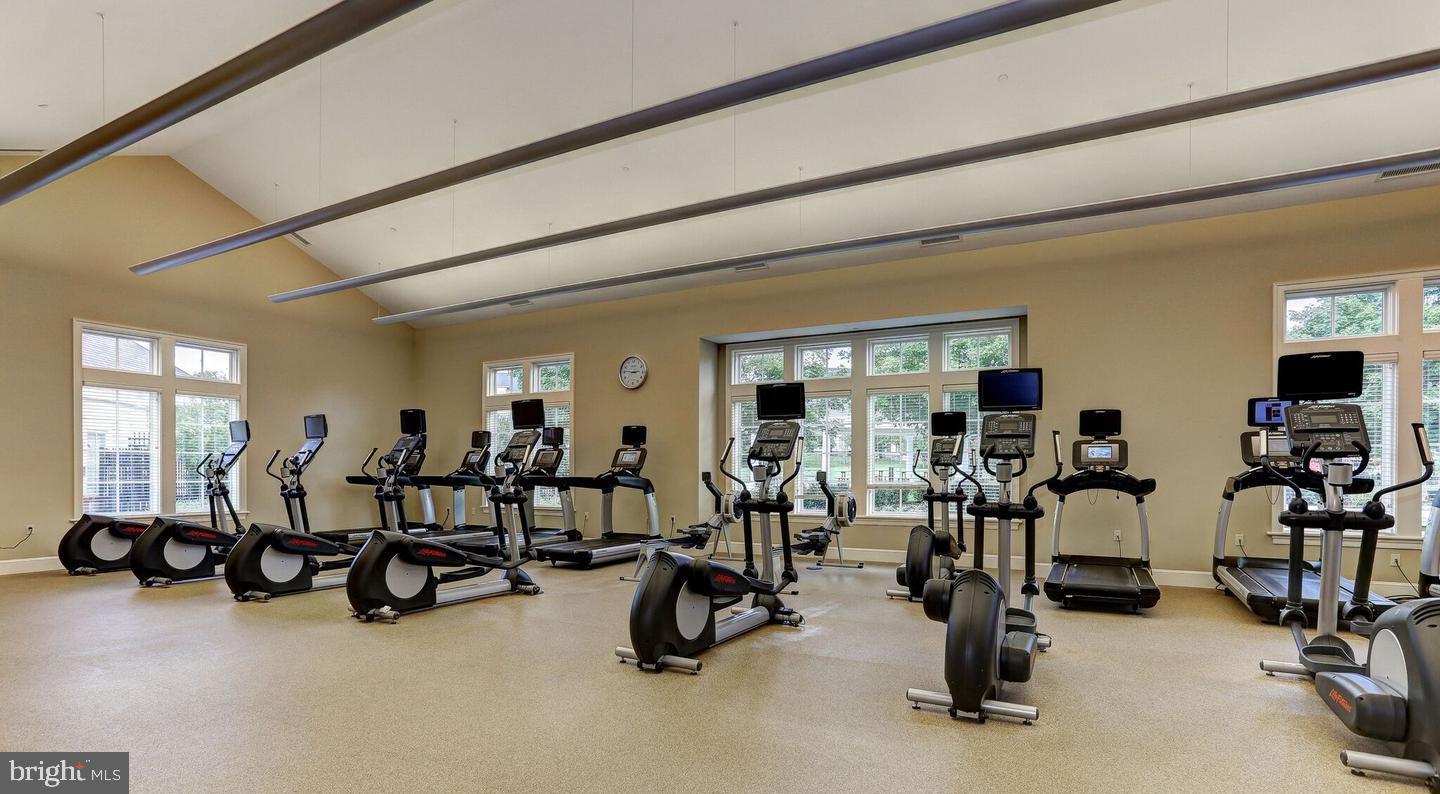 11249-2 Chase St #100