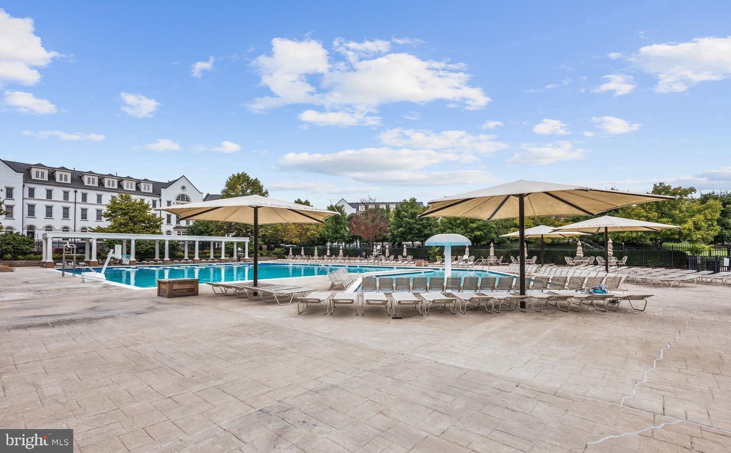 11249-2 Chase St #100