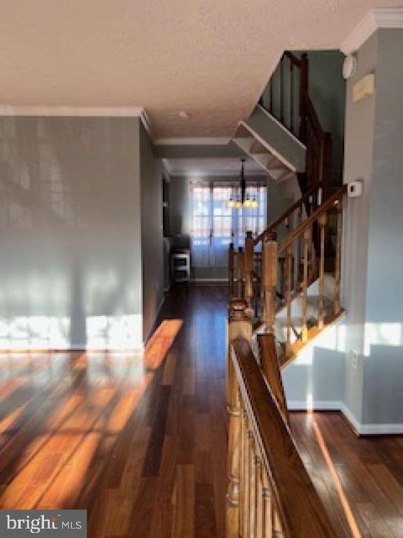8015 BRIGHTWOOD COURT
