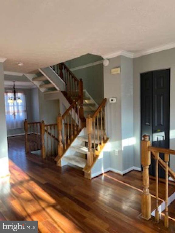 8015 BRIGHTWOOD COURT