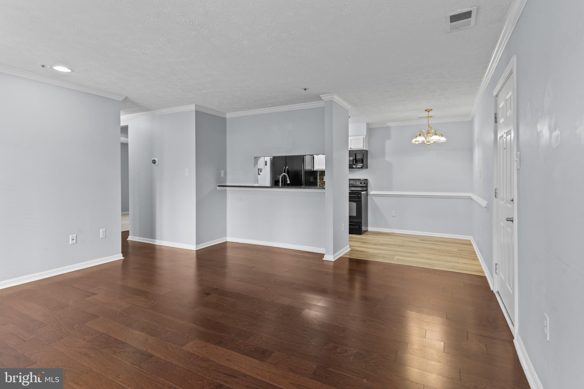 4704 DORSEY HALL DRIVE 203