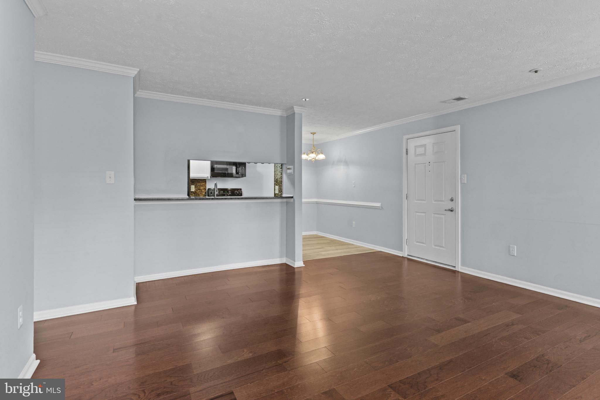 4704 DORSEY HALL DRIVE 203