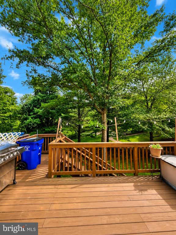 6149 STARBURN PATH