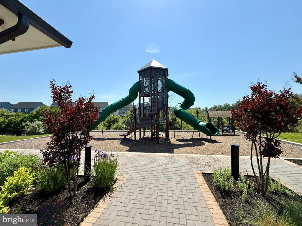 7703 CULTIVATOR ROAD
