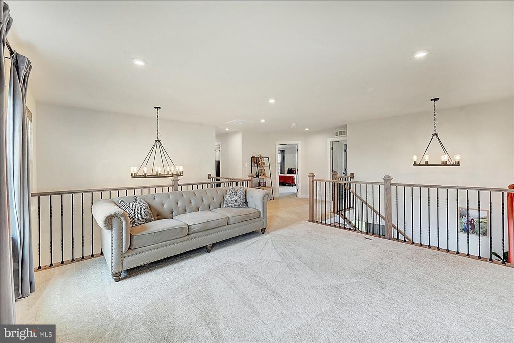 48 Winifred Dr
