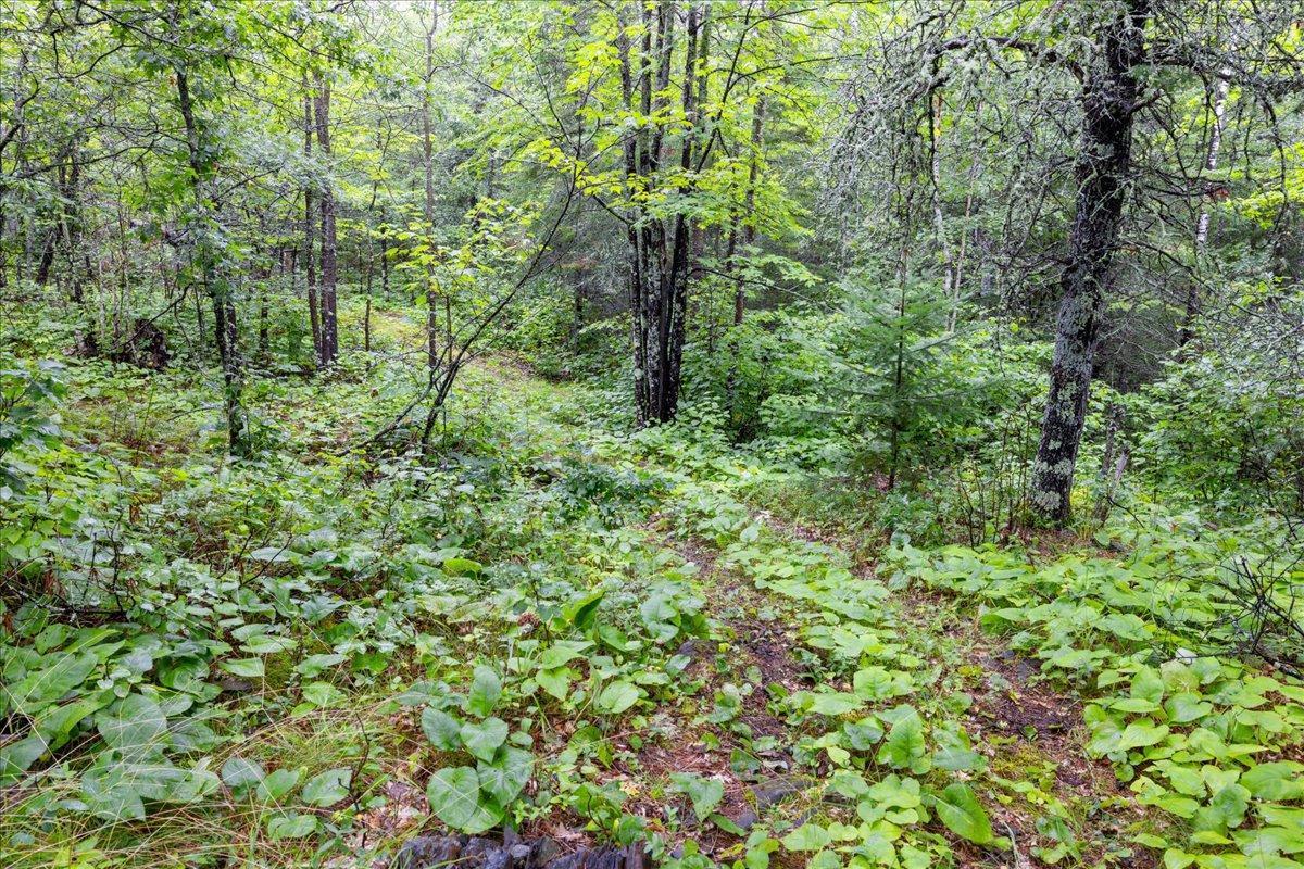 94970 Little Muskrat Channel