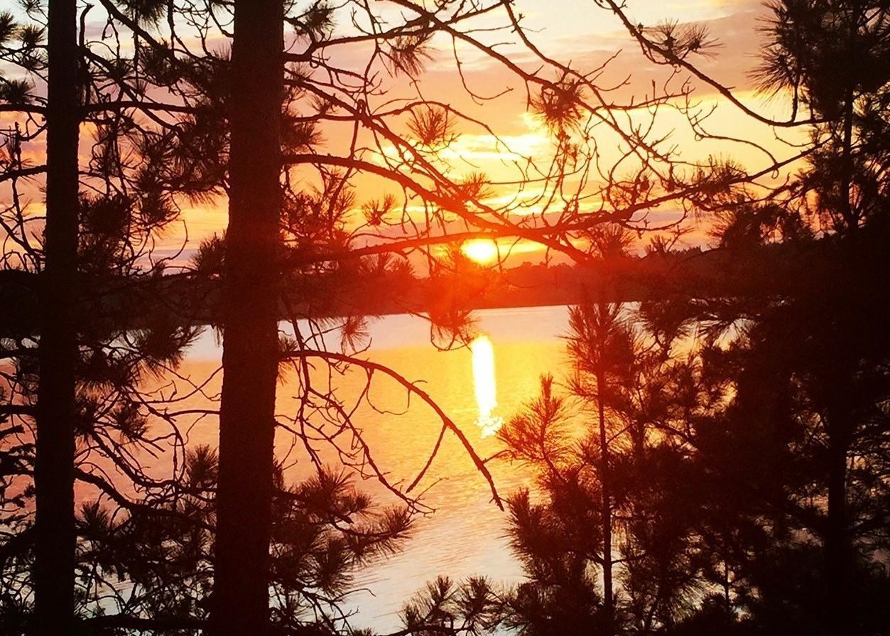 36983 Bonnie Lakes Lane