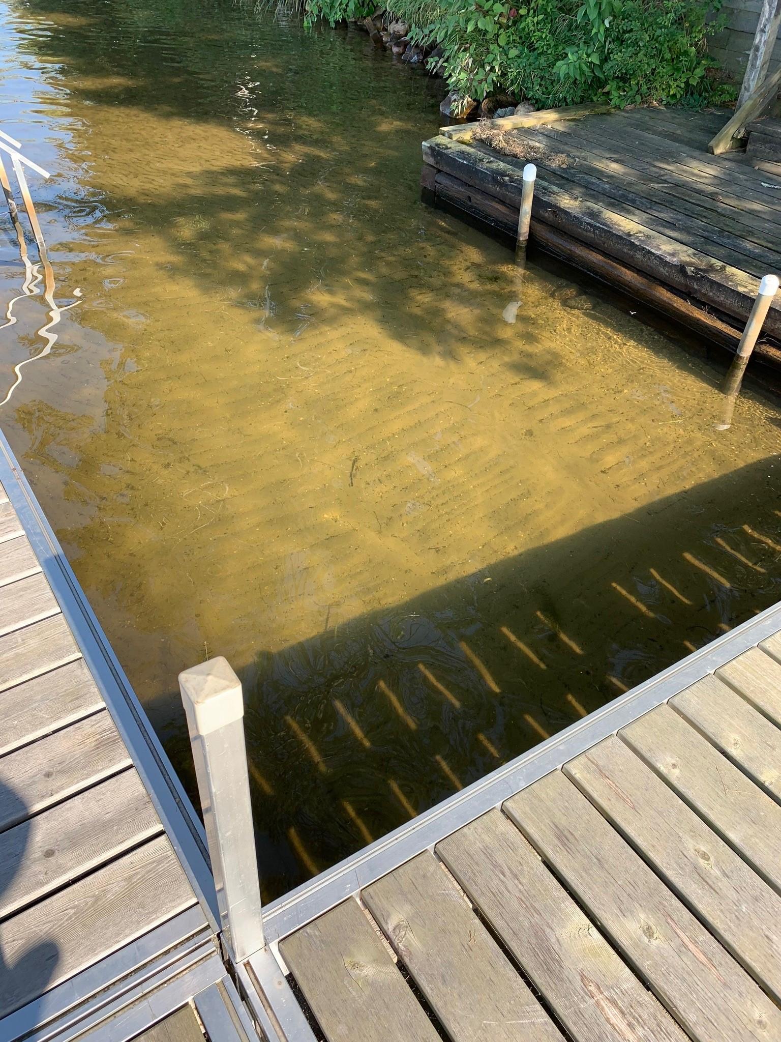 36983 Bonnie Lakes Lane