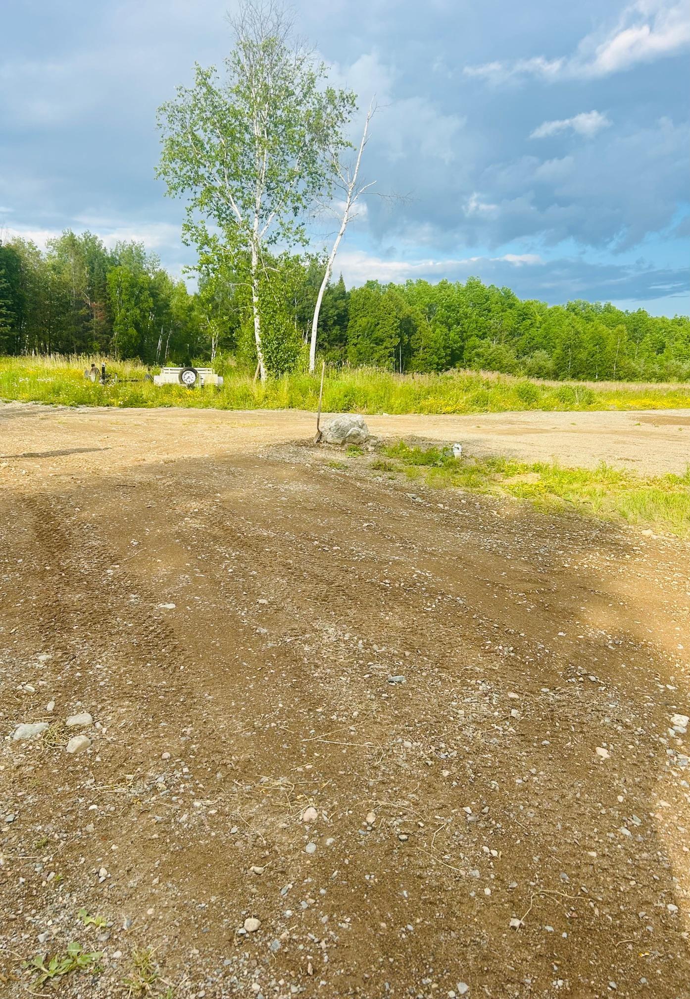 Cleared rocky lot bordered by tall grasses, birch trees, and woods.