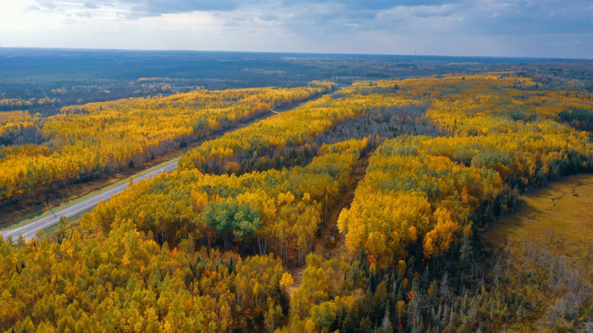 Parcel 10 TBD Hwy 115