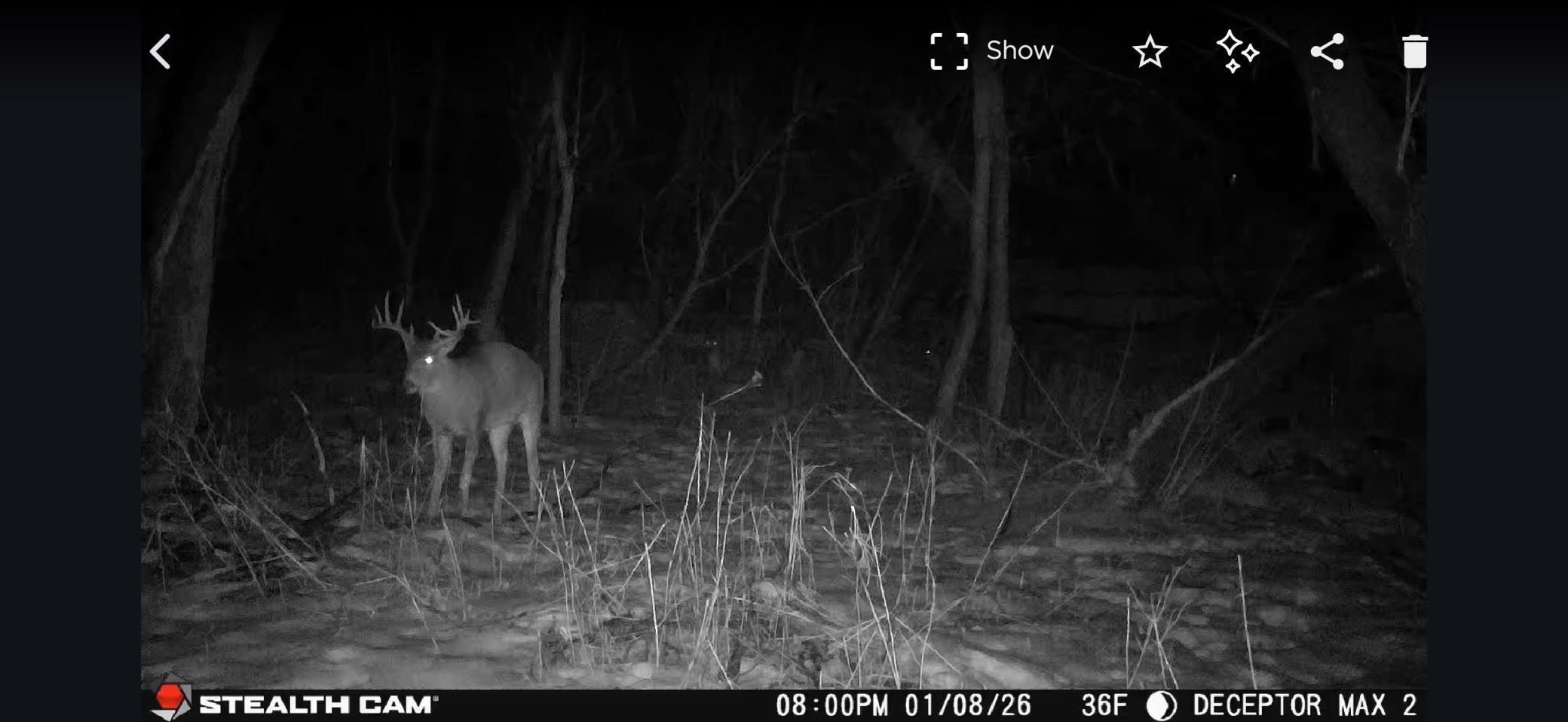 7405 Knollwood Drive