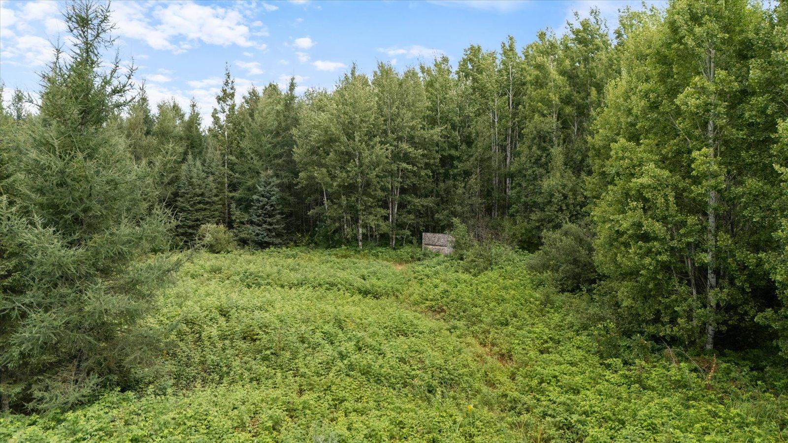9401 Samuelson Road