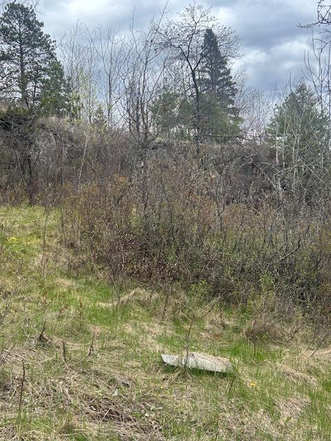 95642 Pine Island