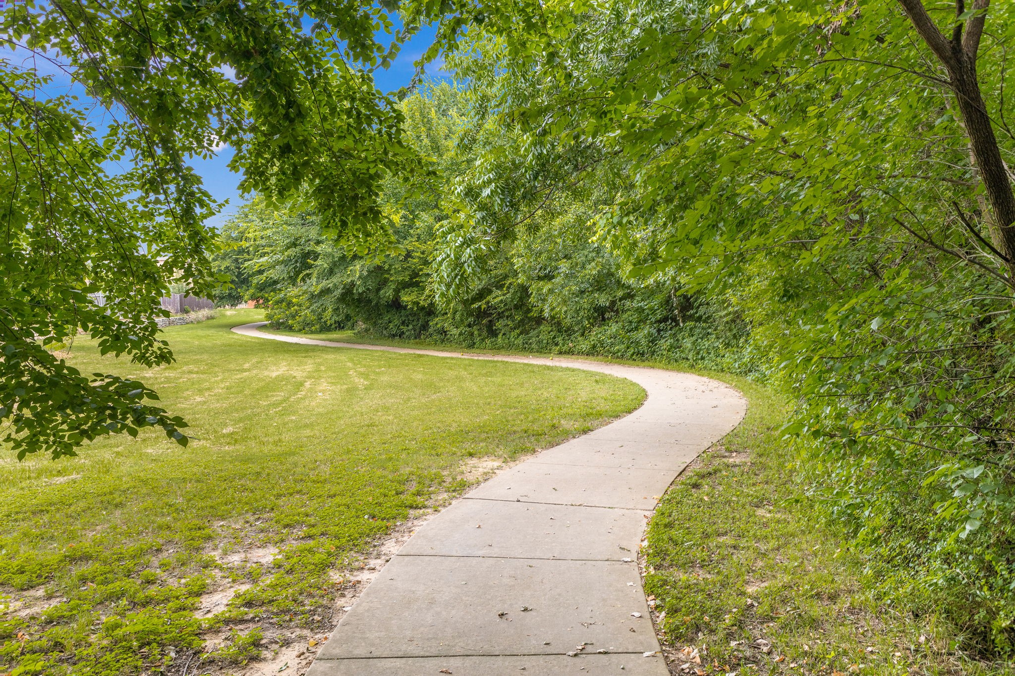 12728 Chinaberry Court
