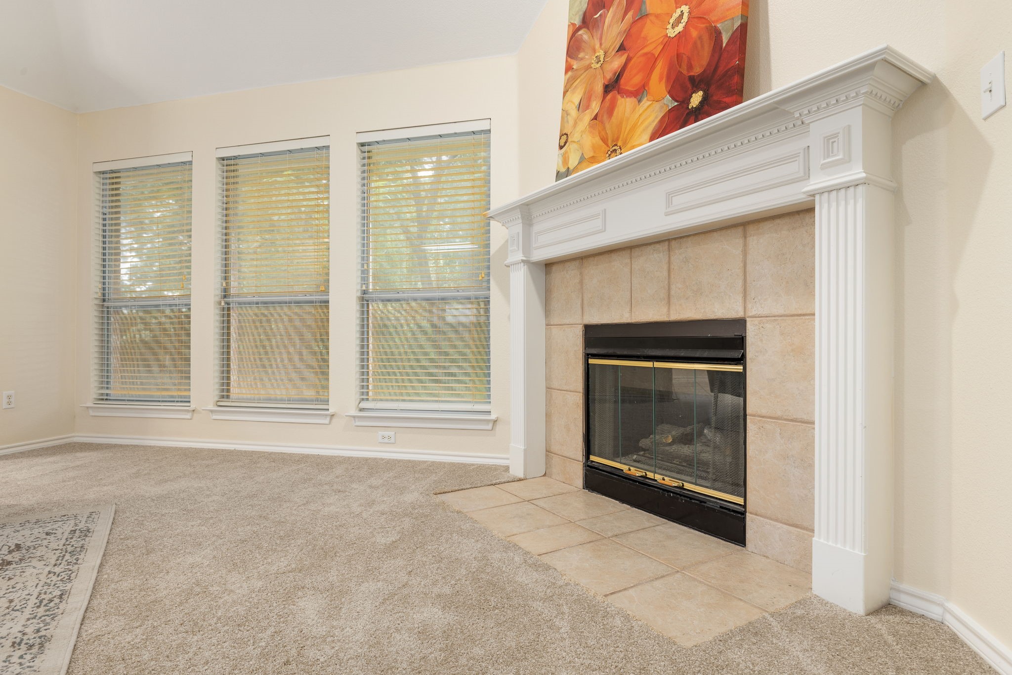 12728 Chinaberry Court