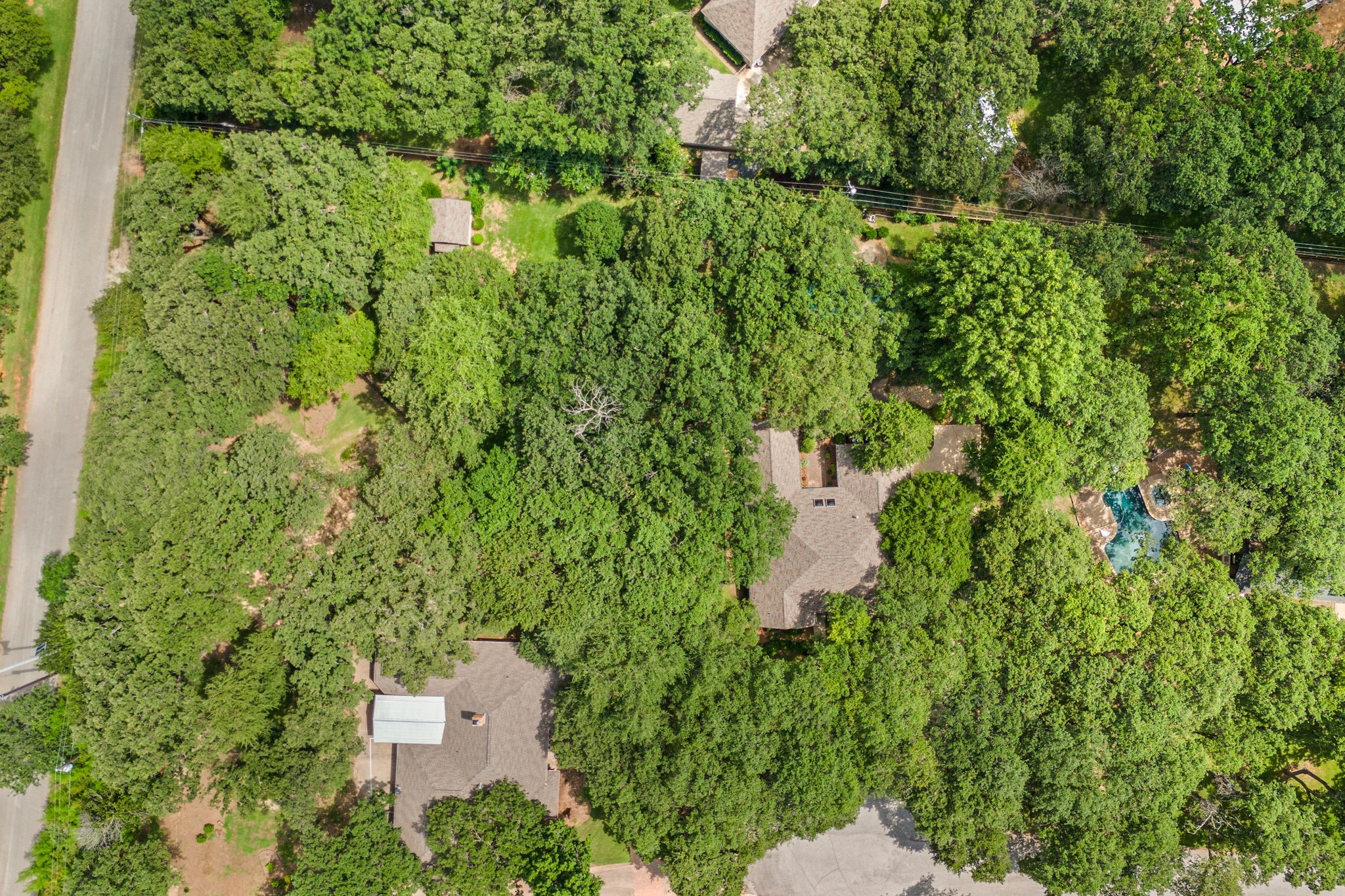 1535 Windsor Forest Trail