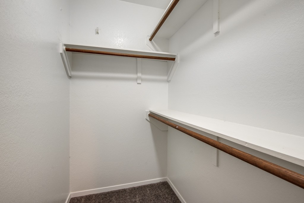 3107 Timber Ridge Point