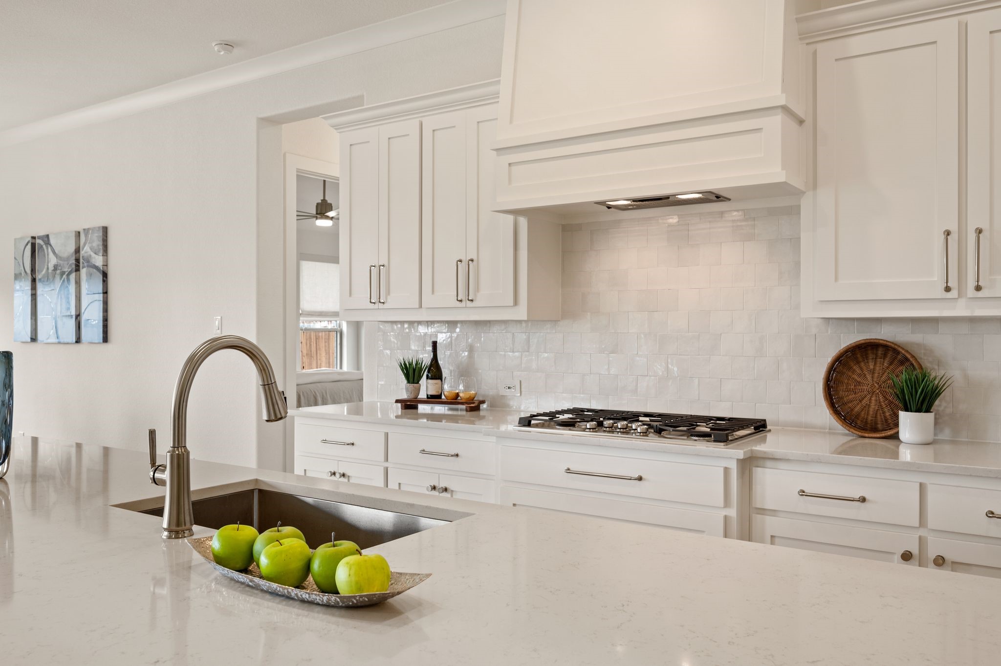 12721 Frio Springs Drive