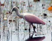 6687 Dickinson Terrace