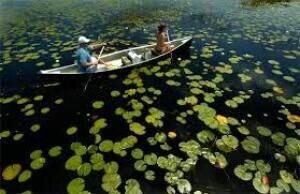 6687 Dickinson Terrace