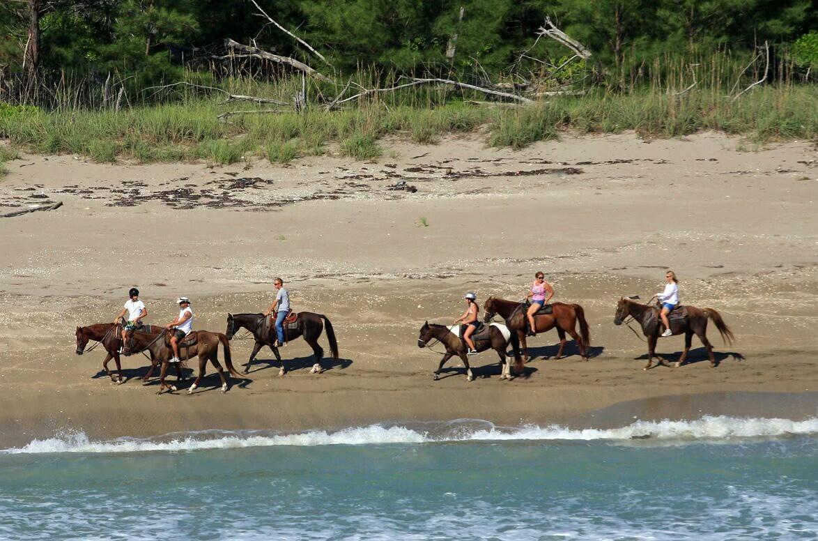 6687 Dickinson Terrace