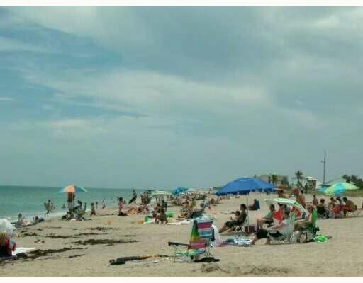 6687 Dickinson Terrace