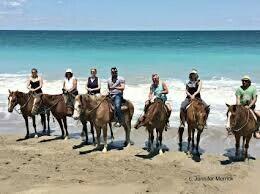 6687 Dickinson Terrace