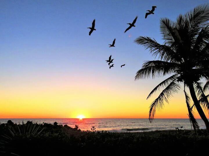 6687 Dickinson Terrace