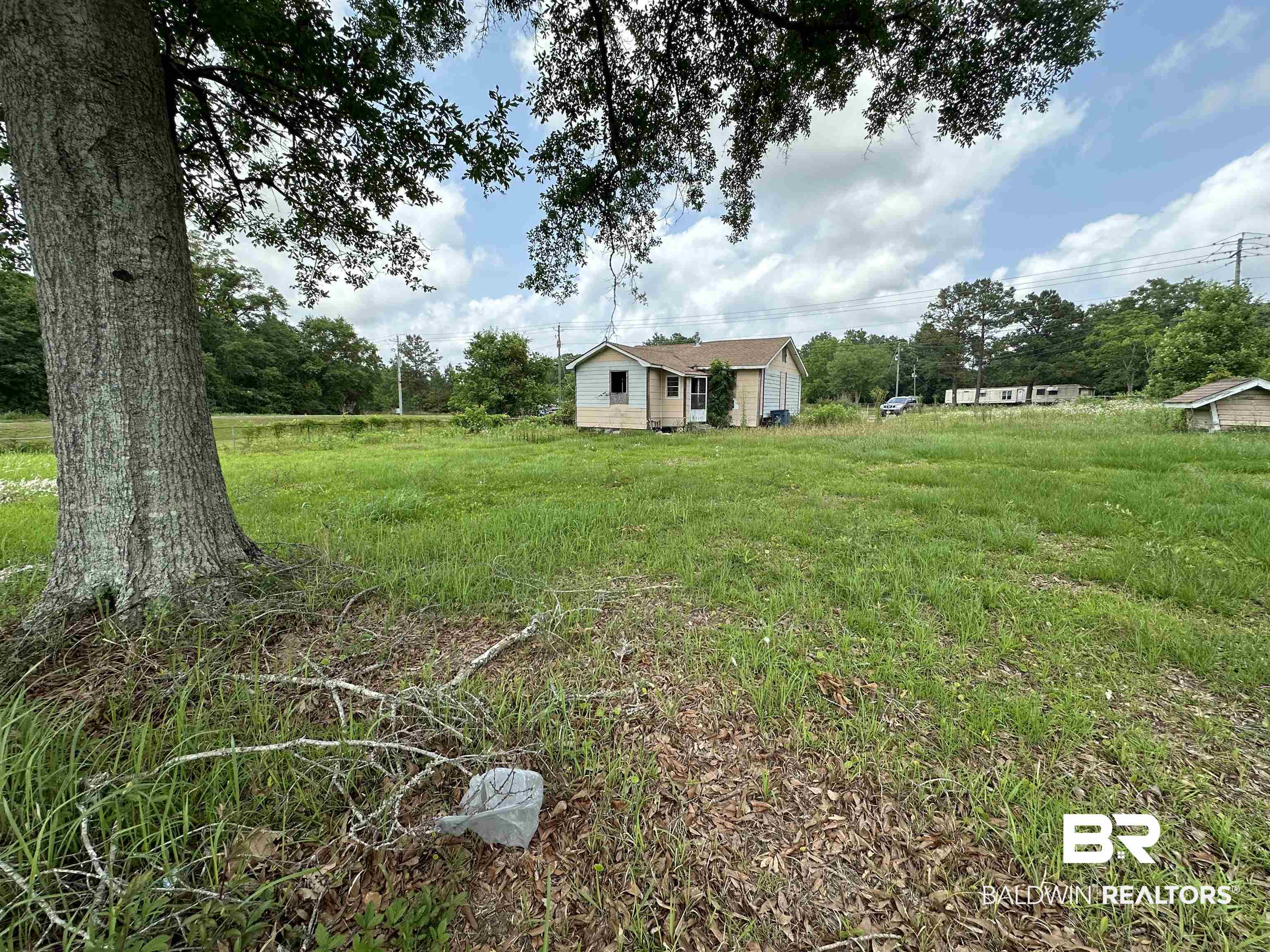 Small house beyond an overgrown grassy lot, framed by a large foreground tree and fallen branches.