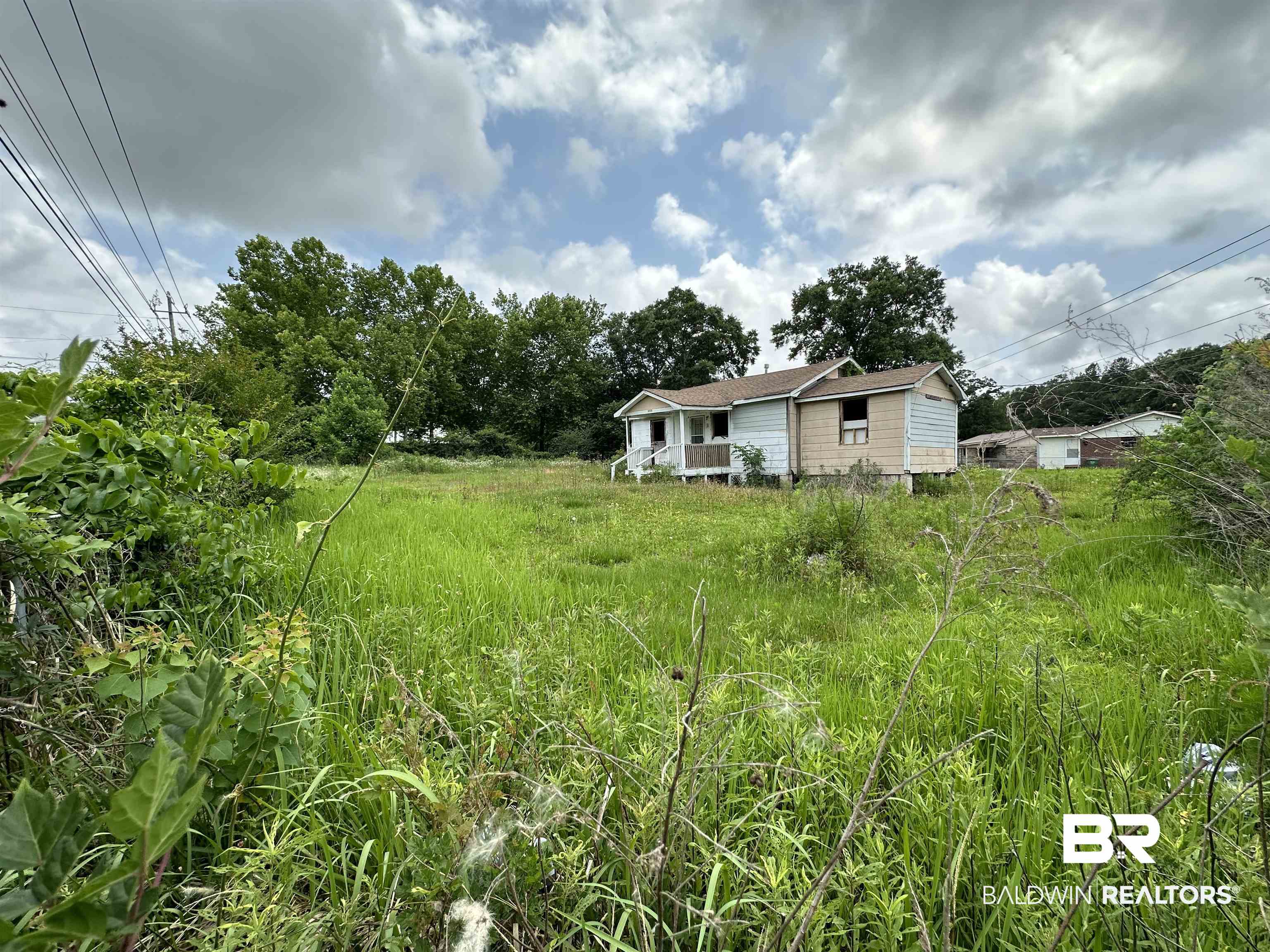 Small blue-and-tan house behind an overgrown grassy lot, with trees and utility lines nearby.