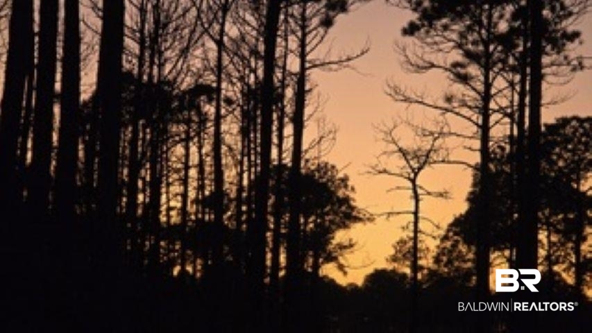 0 Dauphin Island Parkway