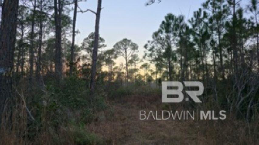 0 Dauphin Island Parkway