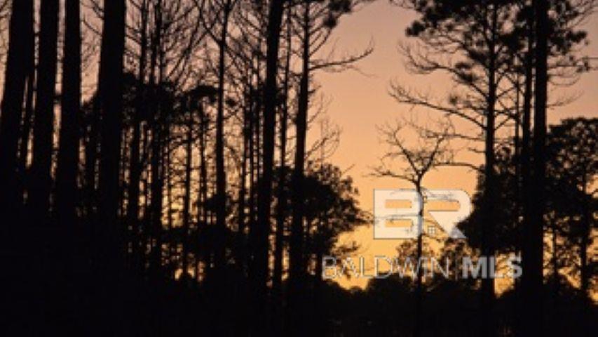 0 Dauphin Island Parkway