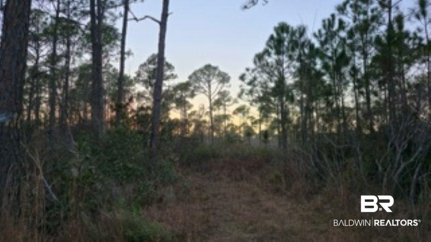 0 Dauphin Island Parkway