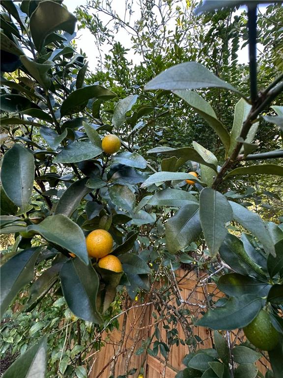 1409 Sugar Creek Place