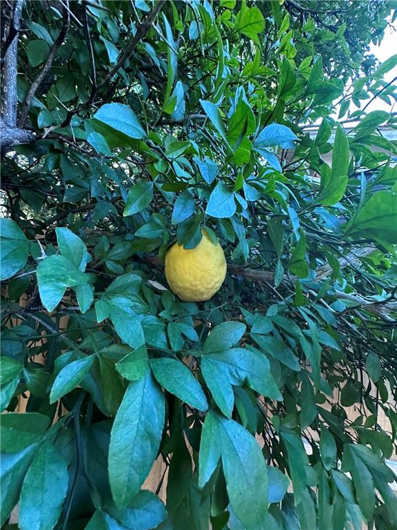 1409 Sugar Creek Place