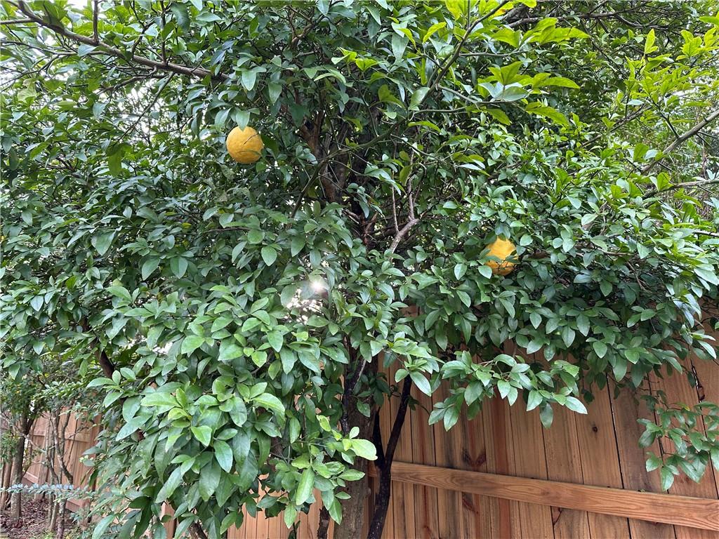 1409 Sugar Creek Place