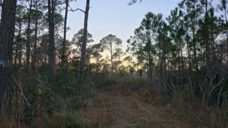 0 Dauphin Island Parkway